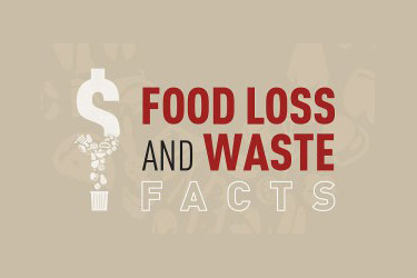 Food loss and waste fact