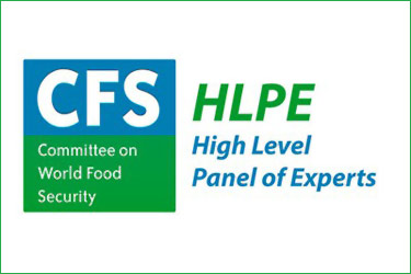 HLPE High Level Panel of Experts