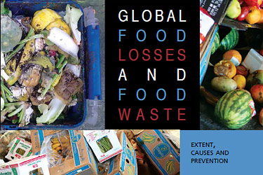 Global food waste and losses. Extent, causes and prevention