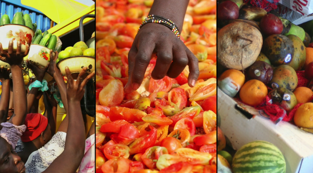 FAO Policy Series: Food Loss & Food Waste