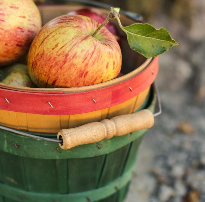 (r9)Alimenta – Las Rs de las pérdidas y el desperdicio alimentario para la economía verde
